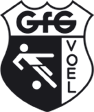 GFG Voel logo
